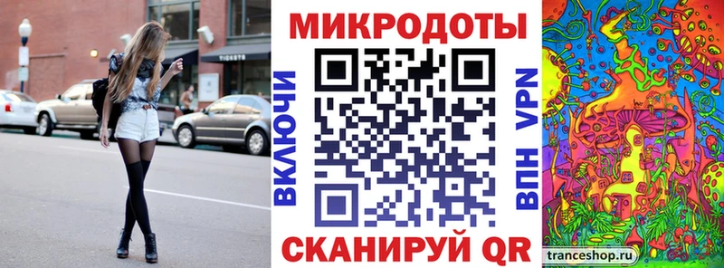 наркота  Новочеркасск  Псилоцибиновые грибы Psilocybe 